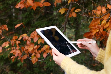 Photo of Woman drawing with graphic tablet near forest in autumn, closeup