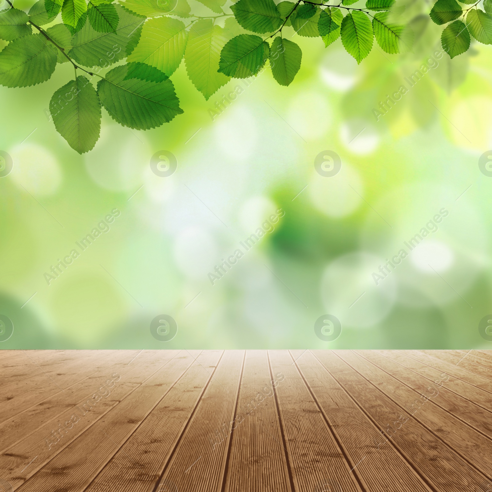 Image of Empty wooden surface and beautiful green leaves on blurred background. Bokeh effect