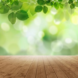 Empty wooden surface and beautiful green leaves on blurred background. Bokeh effect