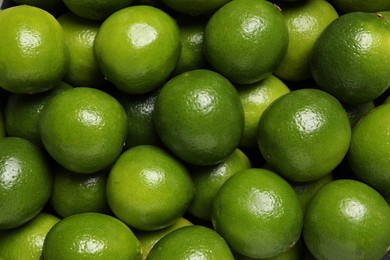 Many fresh ripe limes as background, top view