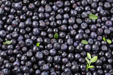 Photo of Many delicious ripe bilberries and green leaves as background, top view