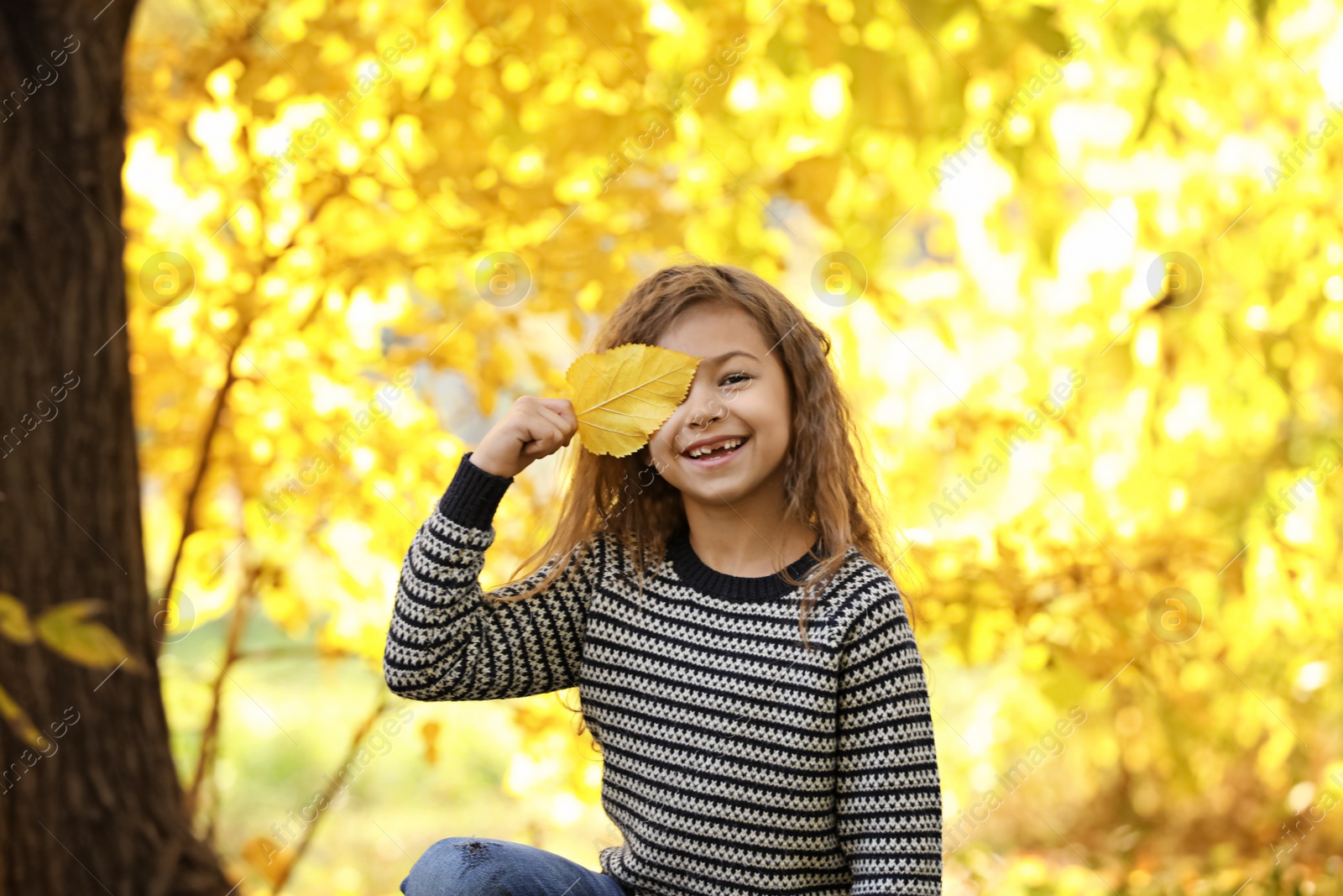 Photo of Cute little girl with leaf in park. Autumn walk