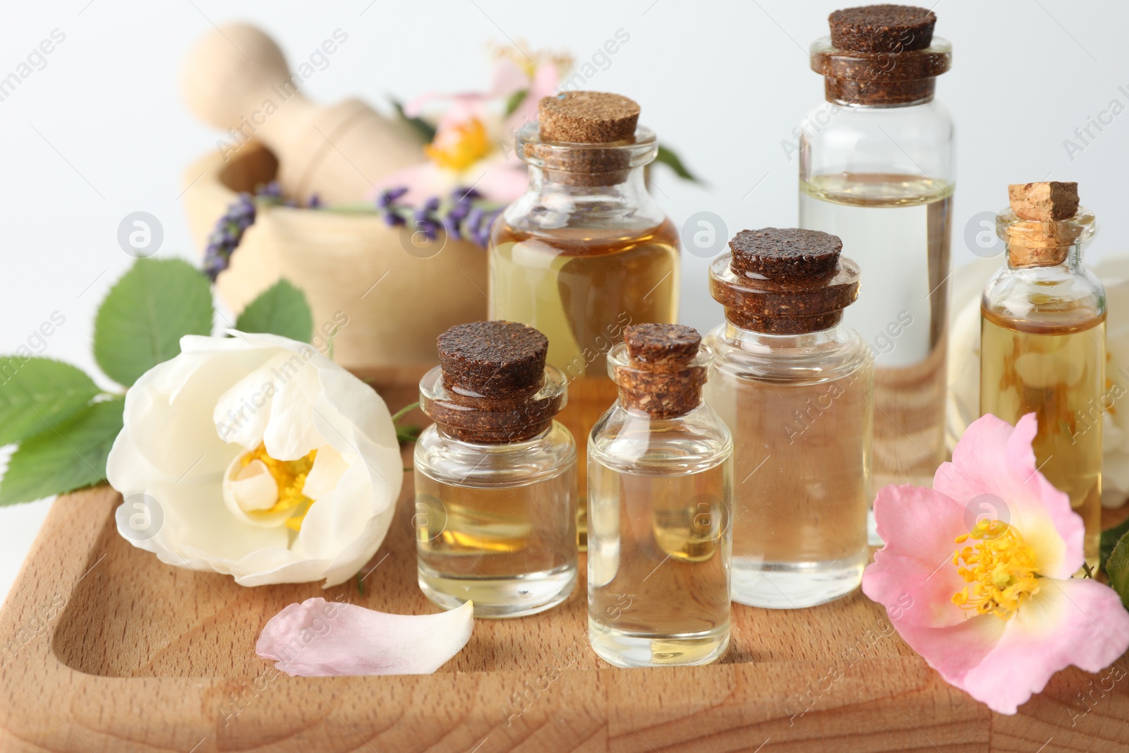 Photo of Aromatherapy. Different essential oils, flowers and green leaves on table