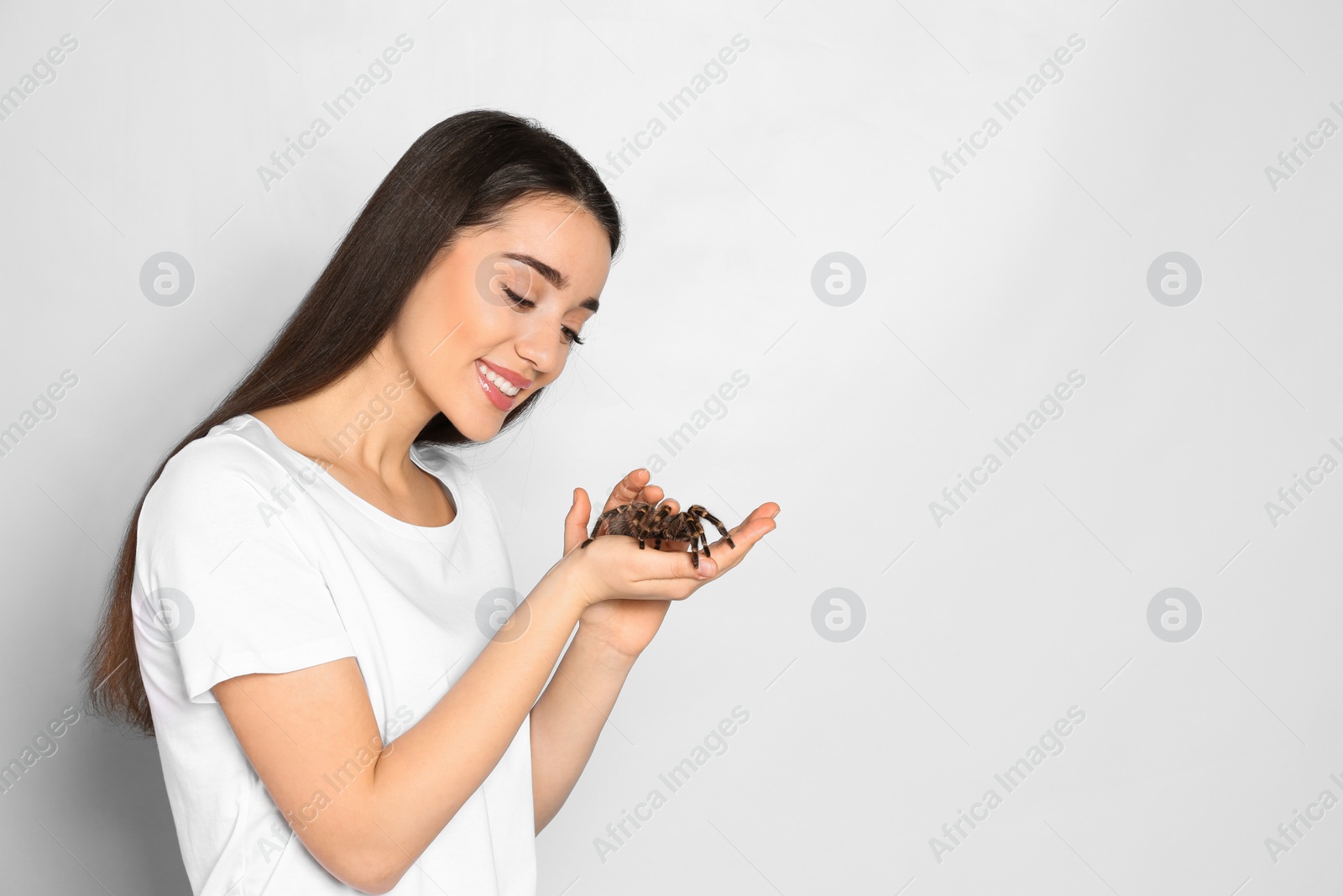 Photo of Woman holding striped knee tarantula on light background, space for text. Exotic pet