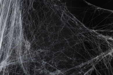 Creepy white cobweb on black background, closeup