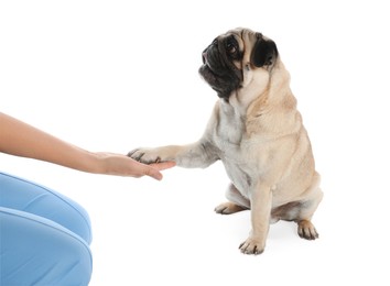 Woman holding dog's paw on white background, closeup