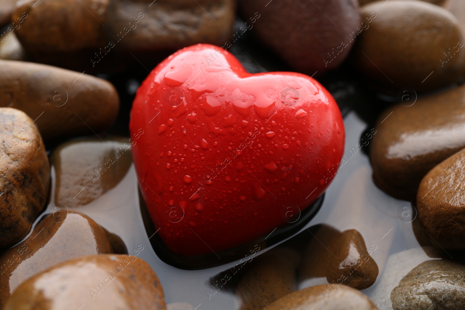 Photo of Red decorative heart on stones and water, closeup