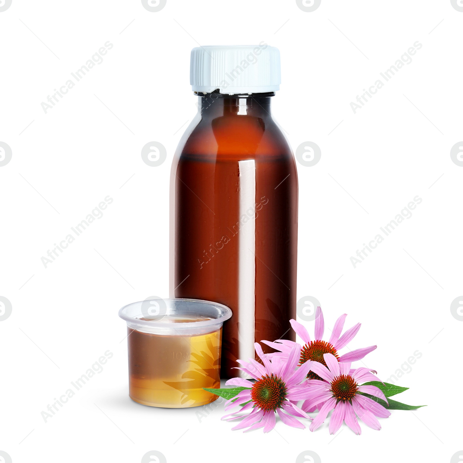 Image of Bottle of echinacea syrup and flowers on white background