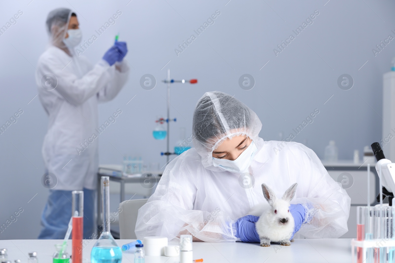 Photo of Scientist working with rabbit in chemical laboratory. Animal testing