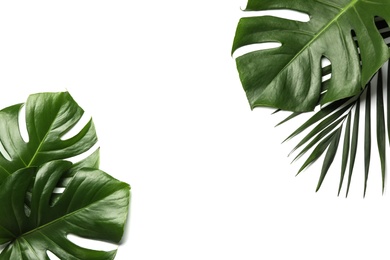 Flat lay composition with tropical leaves and space for text on white background