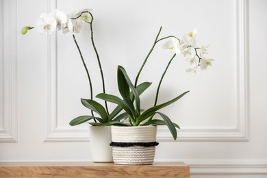 Photo of Blooming orchid flowers in pots on wooden chest of drawers near white wall indoors