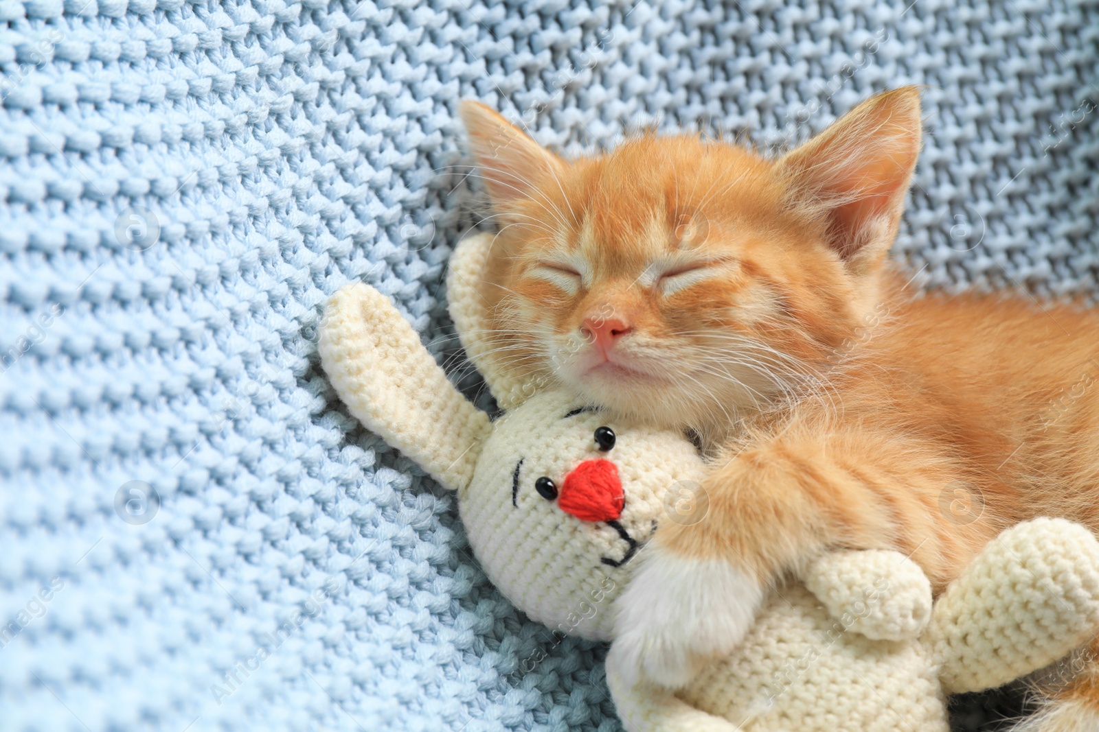 Photo of Sleeping cute little kitten with toy on light blue blanket