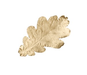 Photo of One golden oak leaf isolated on white. Autumn season