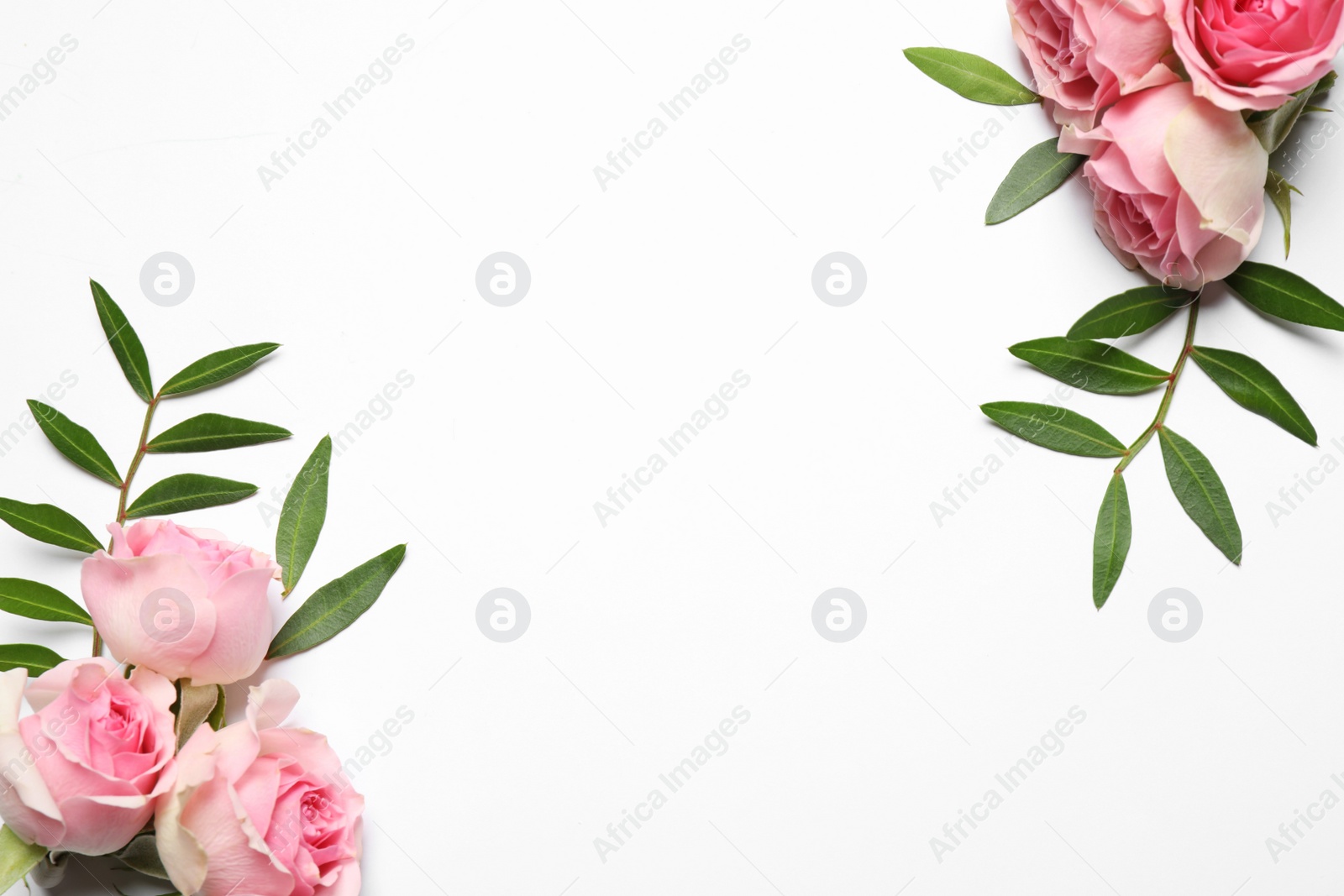 Photo of Composition of beautiful flowers and space for text on white background, top view. Floral card design