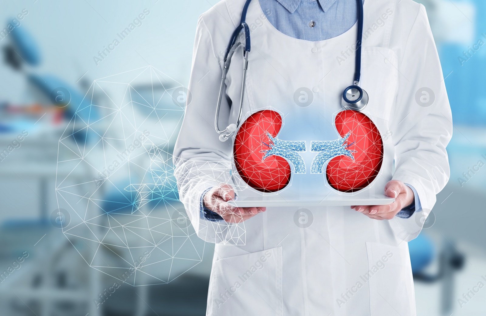 Image of Closeup view of doctor with modern tablet indoors and illustration of kidneys