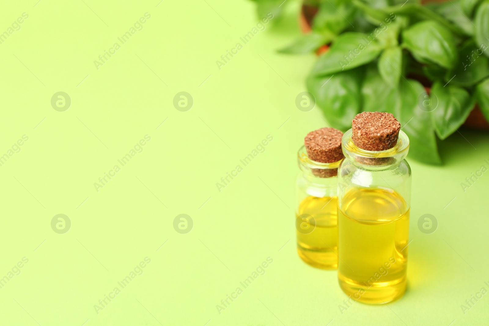 Photo of Bottles of basil oil and leaves with space for text on color background