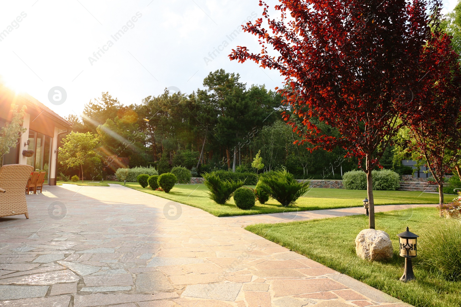 Photo of Picturesque landscape with beautiful green garden near house on sunny day