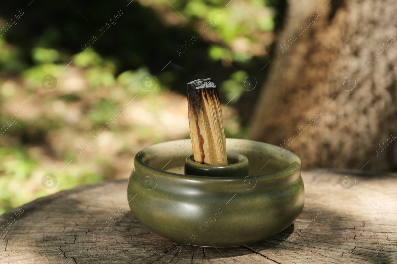 Photo of Smoldering palo santo stick in holder on wooden stump outdoors