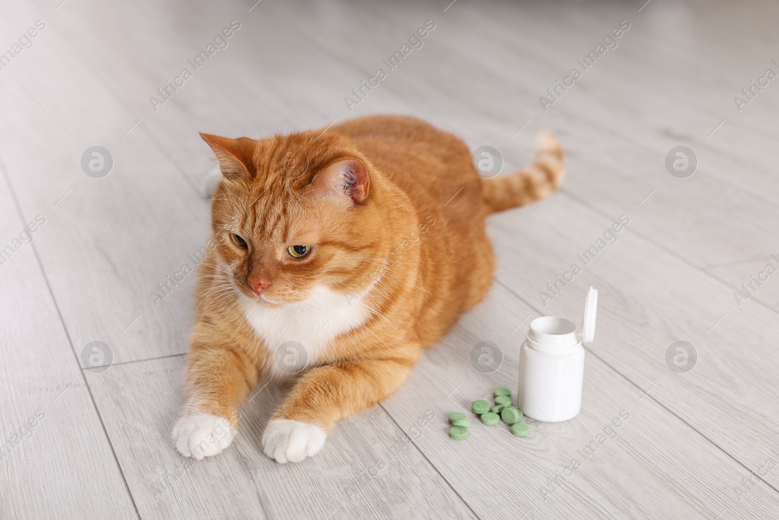 Photo of Cute ginger cat and vitamin pills indoors