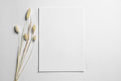 Photo of Empty sheet of paper and dry decorative spikes on white background, flat lay. Mockup for design