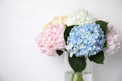 Beautiful hydrangea flowers in vase on white background, closeup. Space for text