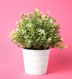 Beautiful artificial plant in flower pot on pink background