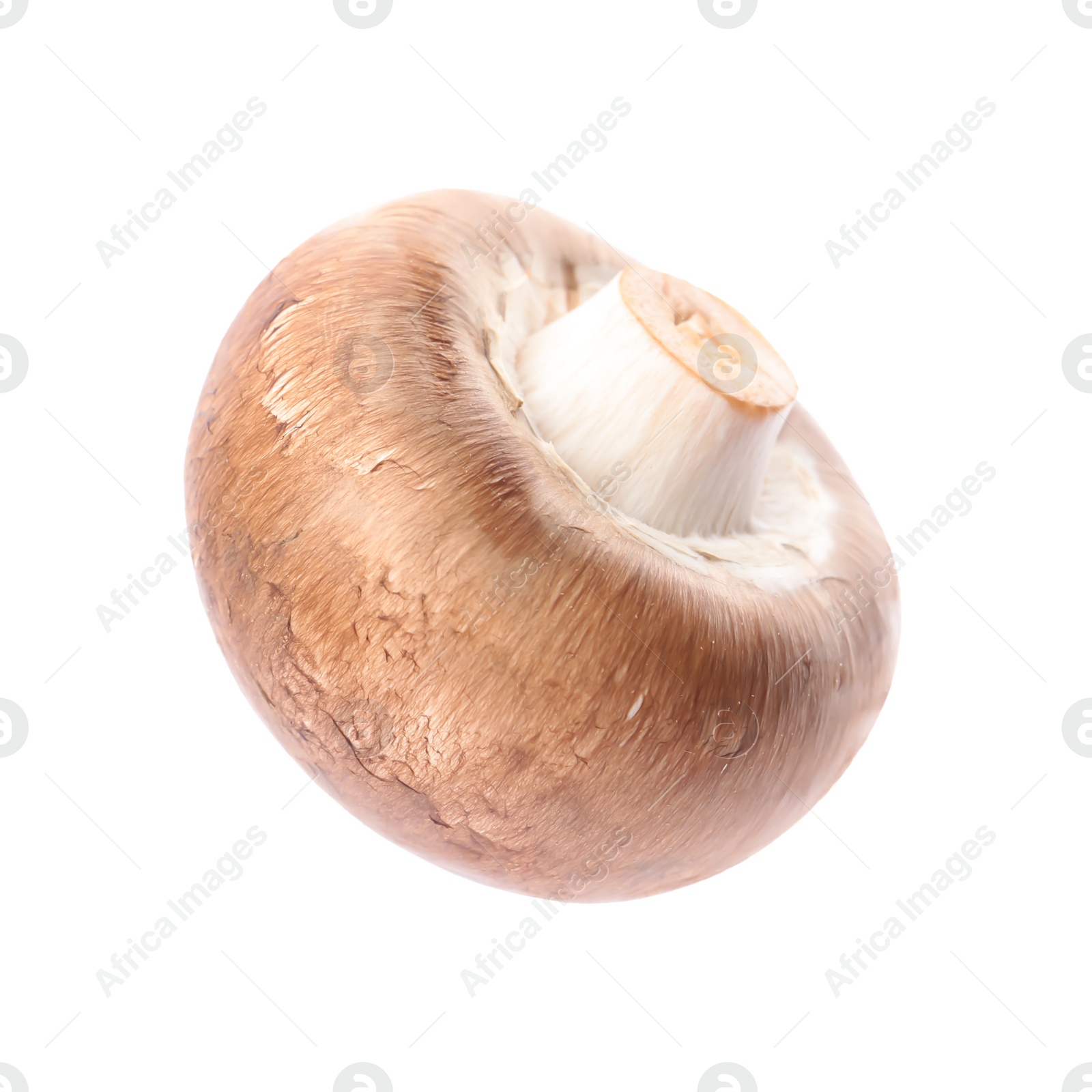 Photo of Fresh champignon mushroom isolated on white. Healthy food