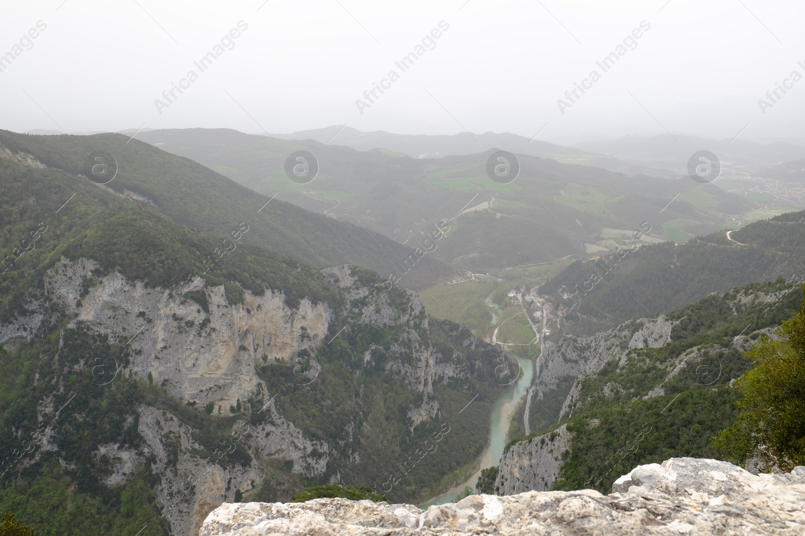 Photo of Picturesque view of green forest in mountains