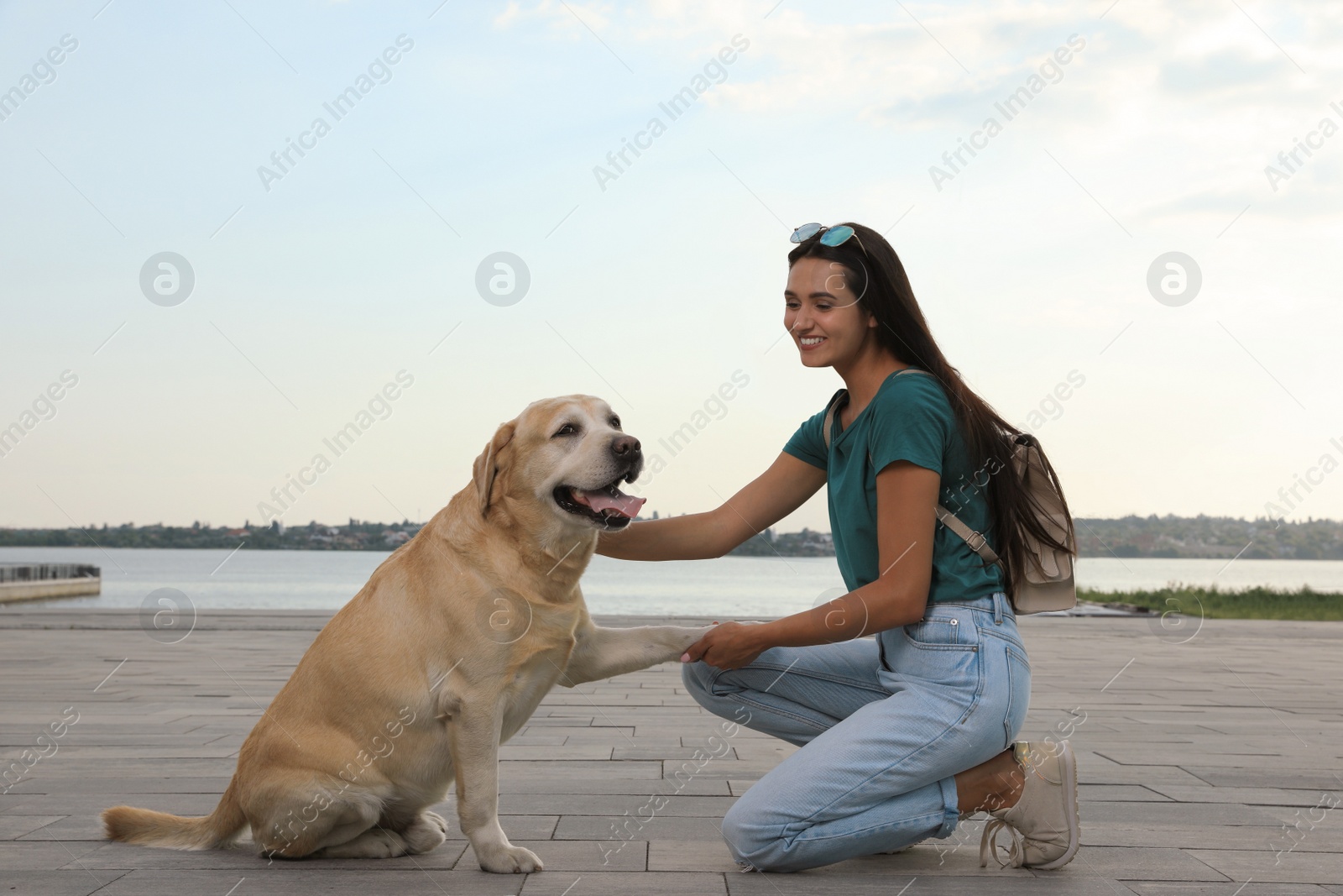 Photo of Cute golden retriever dog giving paw to young woman on pier