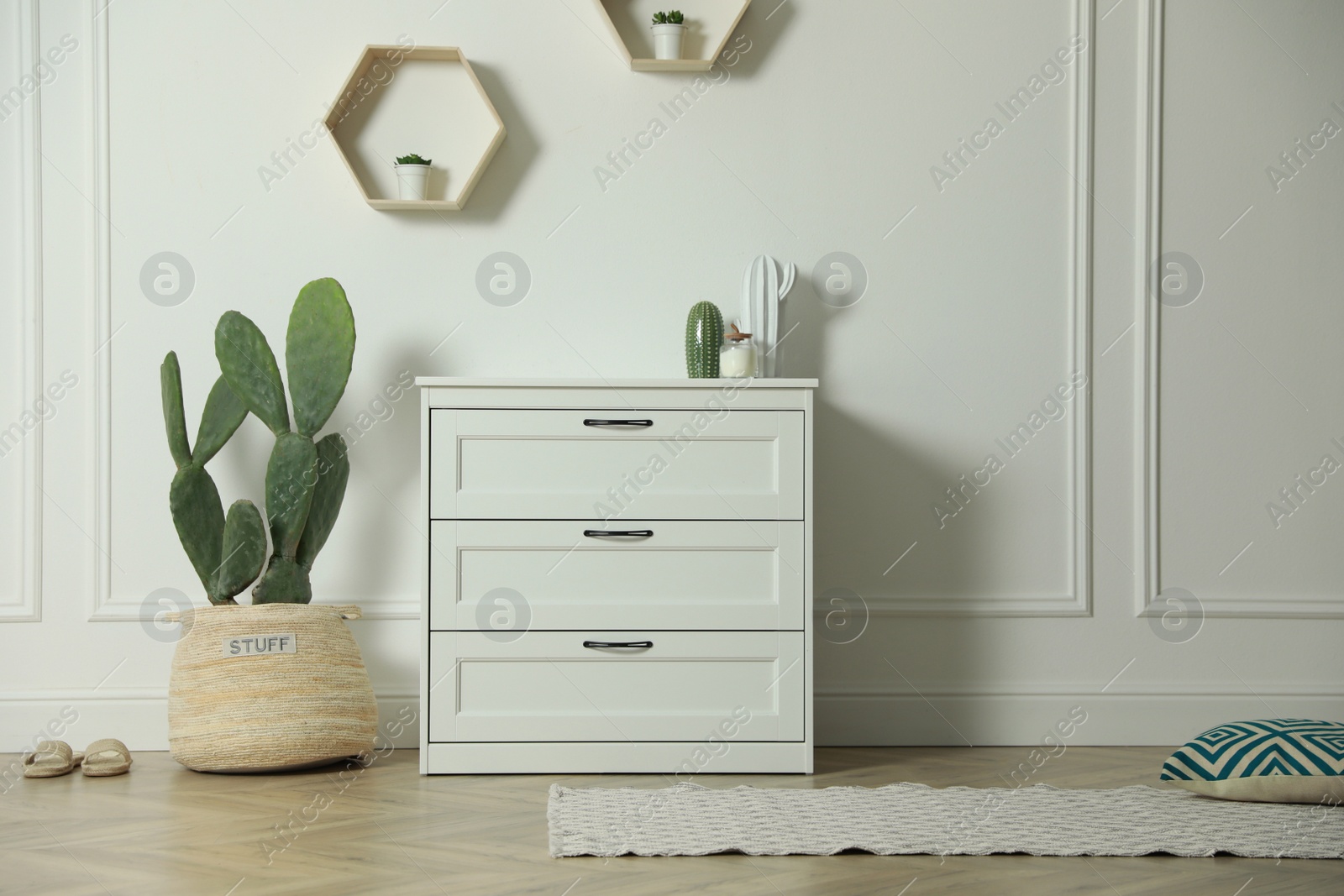 Photo of Stylish room interior with beautiful potted cactus and chest of drawers