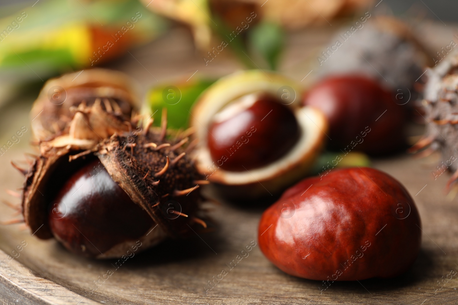 Photo of Horse chestnuts on wooden table, closeup view