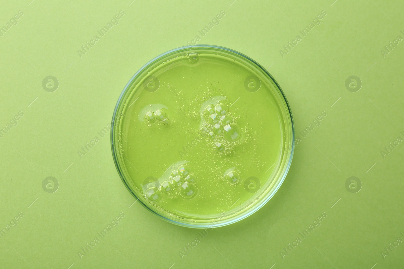 Photo of Petri dish with liquid sample on green background, top view
