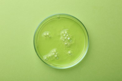 Petri dish with liquid sample on green background, top view