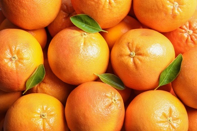 Photo of Many whole fresh ripe grapefruits as background, top view