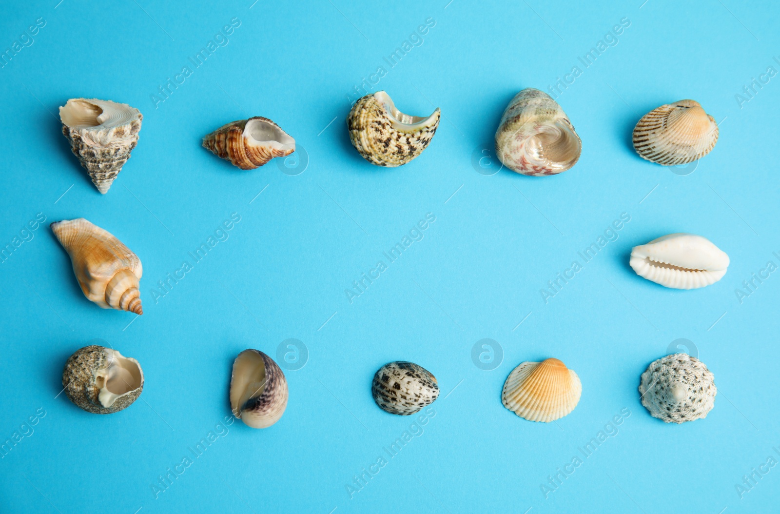 Photo of Frame made with different sea shells on light blue background, flat lay. Space for text