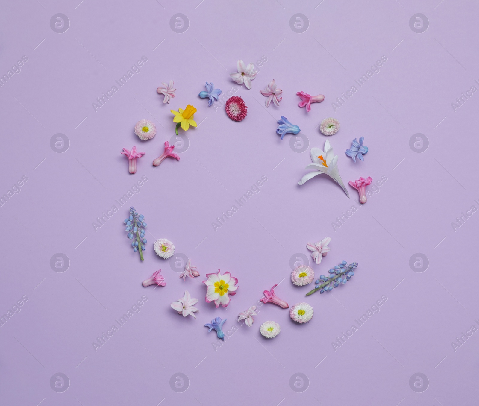 Photo of Frame made with hyacinth and other spring flowers on color background, top view. Space for text