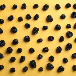 Flat lay composition with fresh blackberries on yellow background