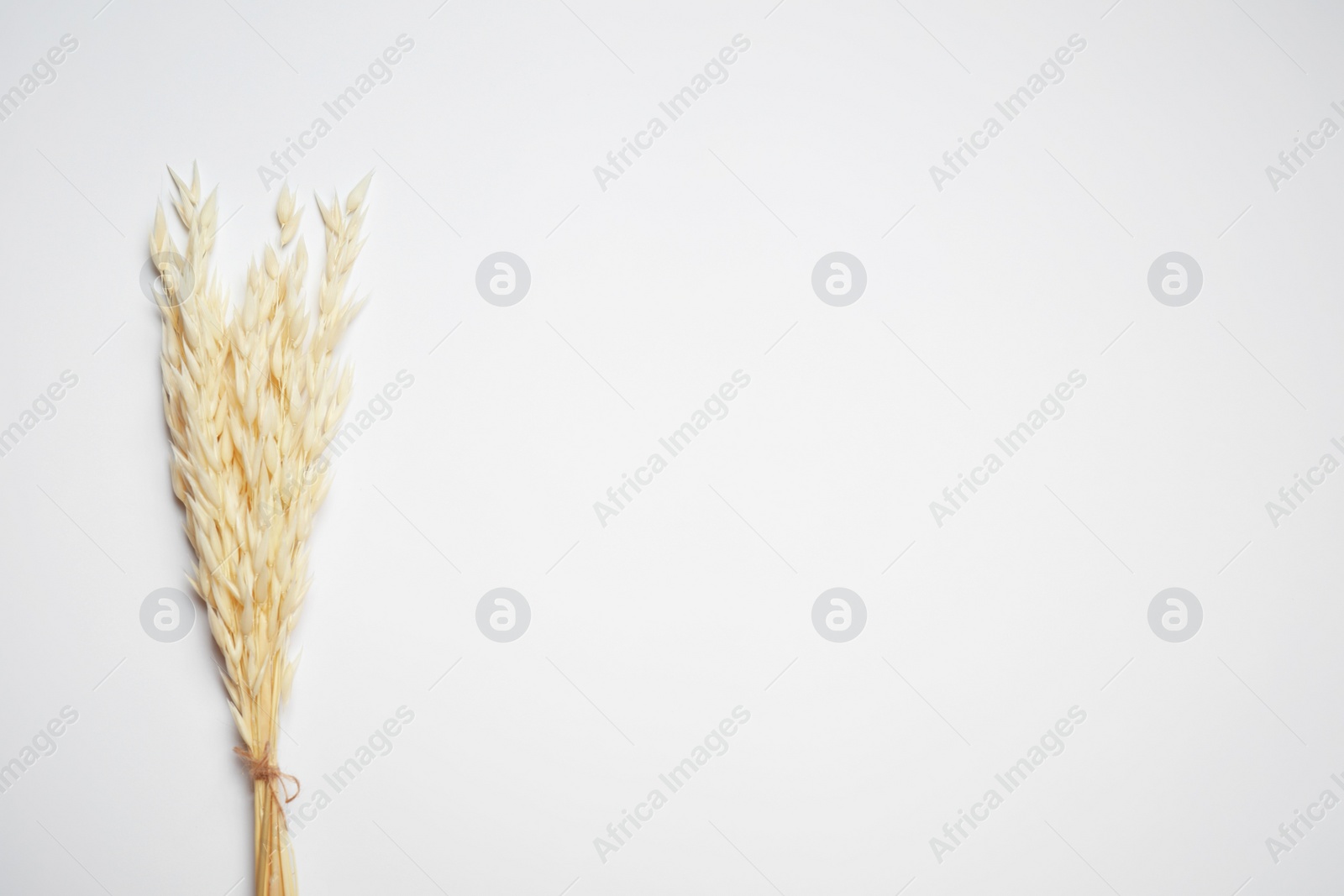 Photo of Bunch of beautiful dried flowers on white background, top view