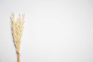 Bunch of beautiful dried flowers on white background, top view