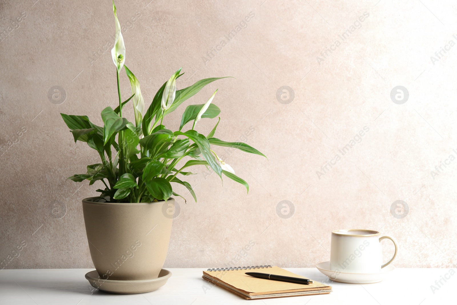 Photo of Composition with peace lily, notebook and cup on table against color wall. Space for text