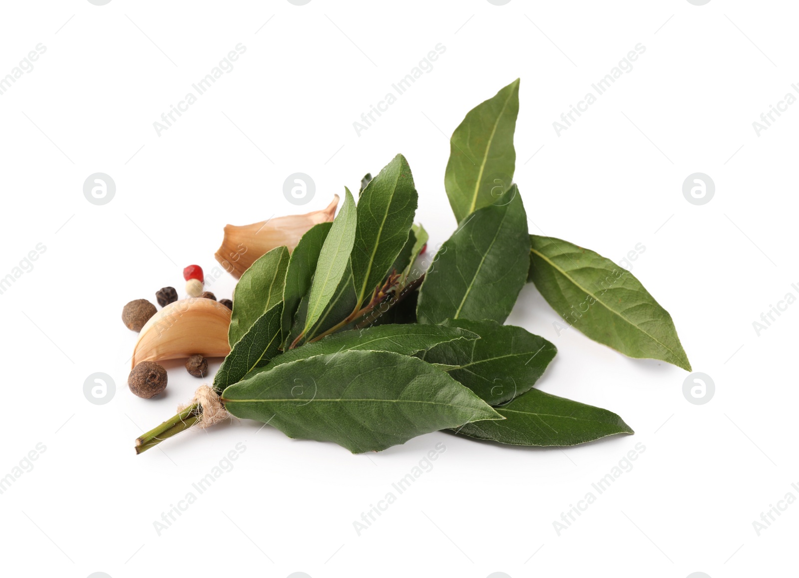 Photo of Aromatic bay leaves and spices isolated on white