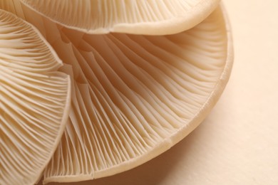 Photo of Fresh oyster mushrooms on beige background, macro view