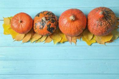 Photo of Orange pumpkins on wooden background, flat lay composition with space for text. Autumn holidays