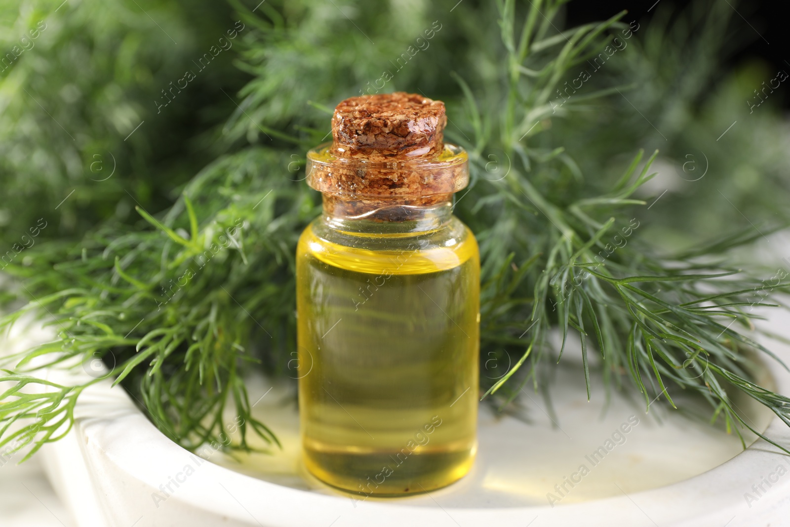 Photo of Bottle of essential oil and fresh dill on light tray, closeup