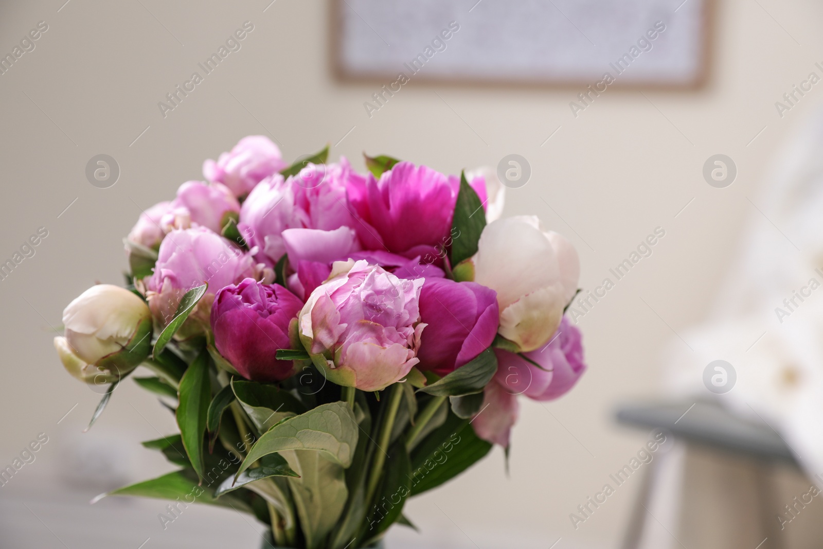 Photo of Bouquet of beautiful peonies in room,  space for text