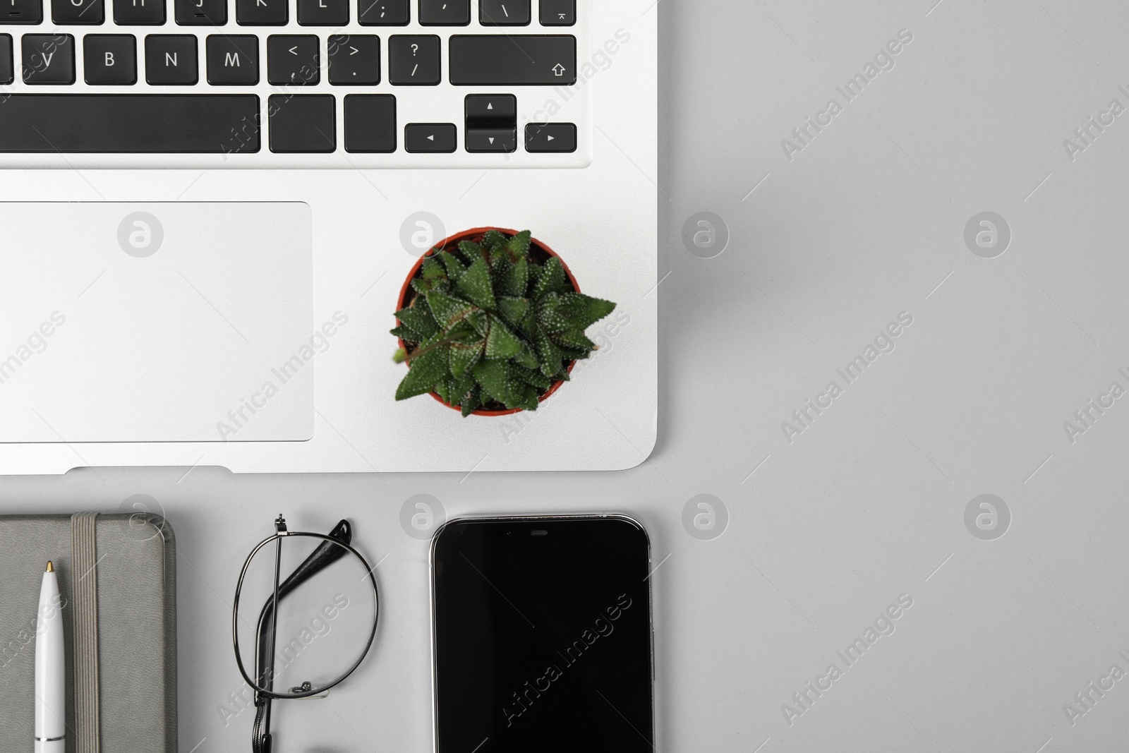 Photo of Modern laptop, stationery, glasses, houseplant and smartphone on light grey table, flat lay. Space for text