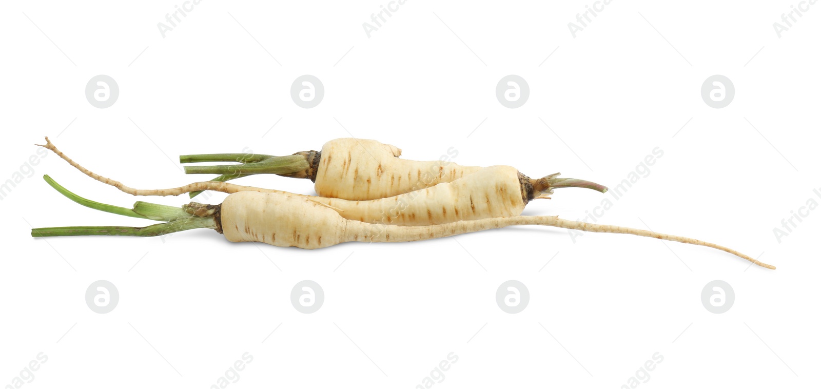 Photo of Tasty fresh ripe parsnips on white background