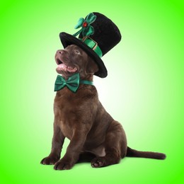 Image of St. Patrick's day celebration. Cute Chocolate Labrador puppy with leprechaun hat and bow tie on green background