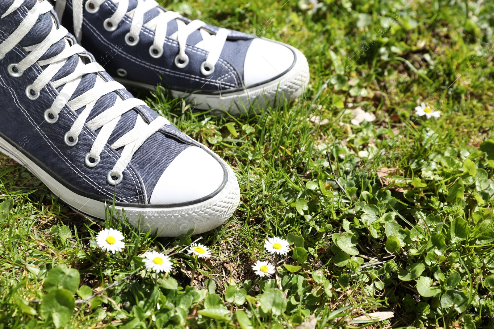 Photo of Person in stylish gumshoes standing on grass near beautiful blooming flowers, closeup