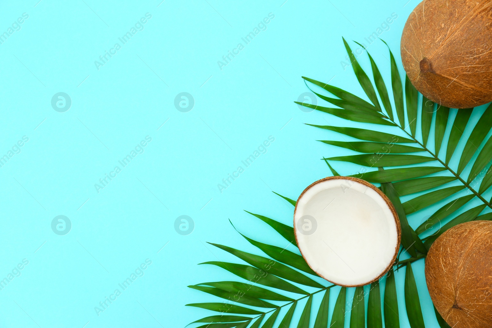 Photo of Fresh coconuts and palm leaves on light blue background, flat lay. Space for text